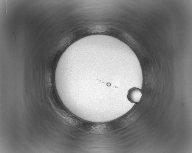 X0000053070362200507251506