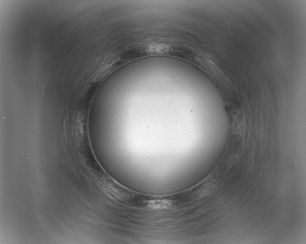 X0000053070363200507251506