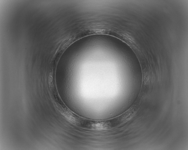 X0000053070365200507251506