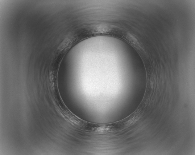 X0000053070366200507251506