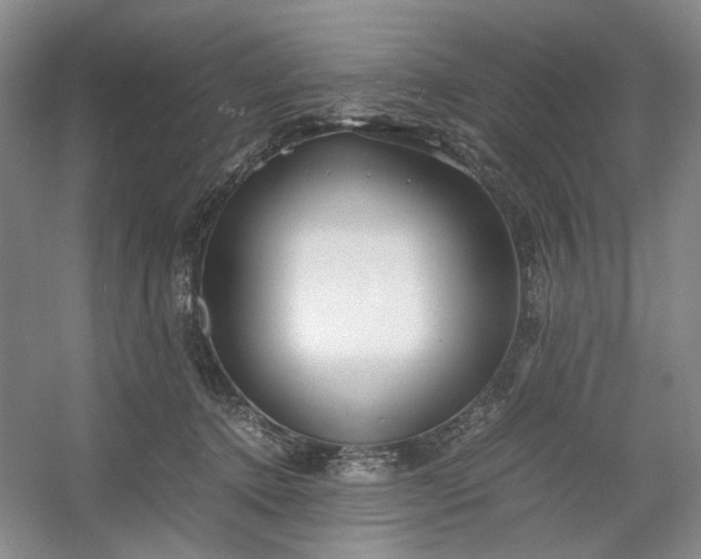 X0000053070368200507251506