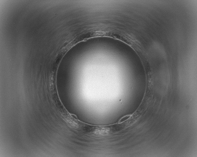 X0000053070369200507251506