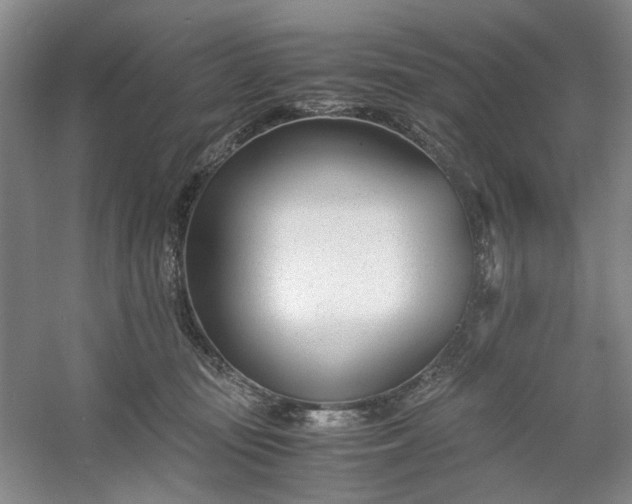 X0000053070371200507251506