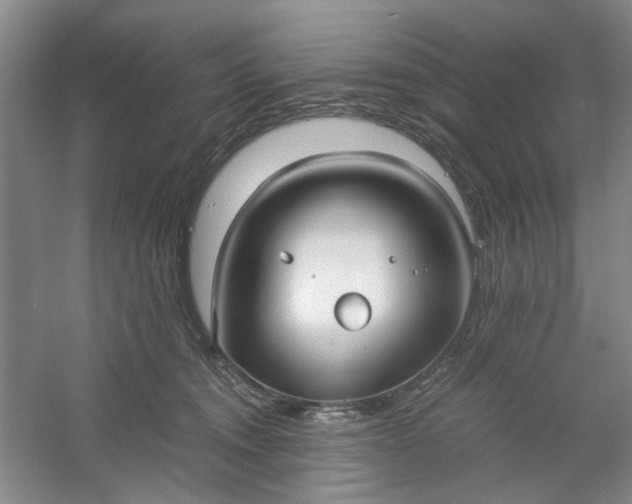 X0000053070372200507251506