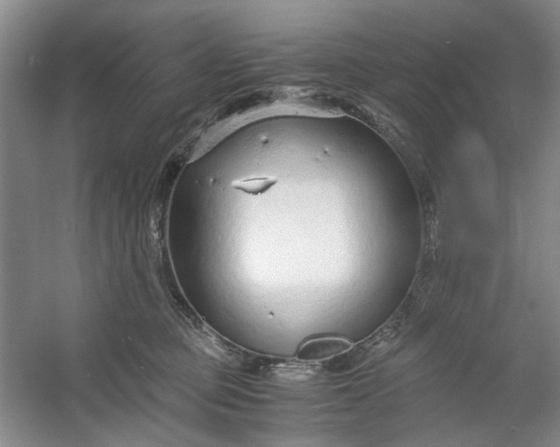 X0000053070373200507251506