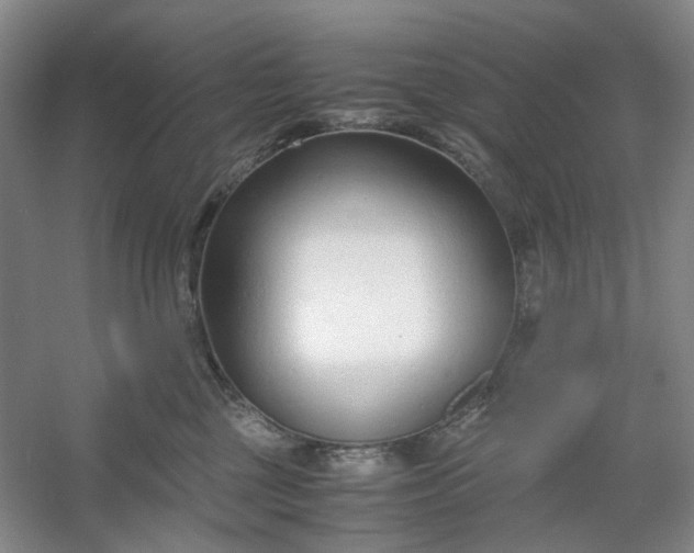 X0000053070377200507251506