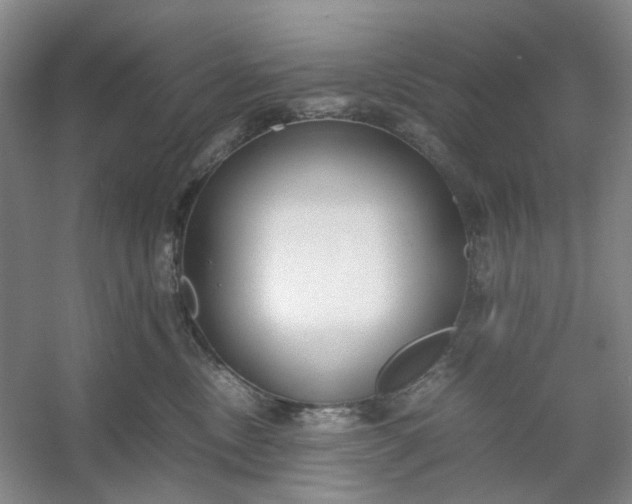 X0000053070378200507251506