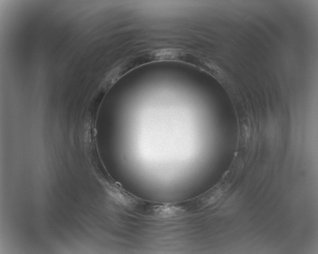 X0000053070379200507251506