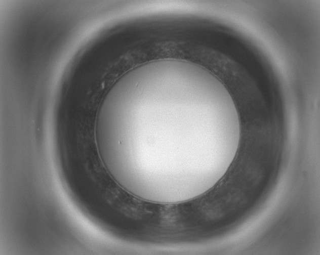 X0000053070382200507251506