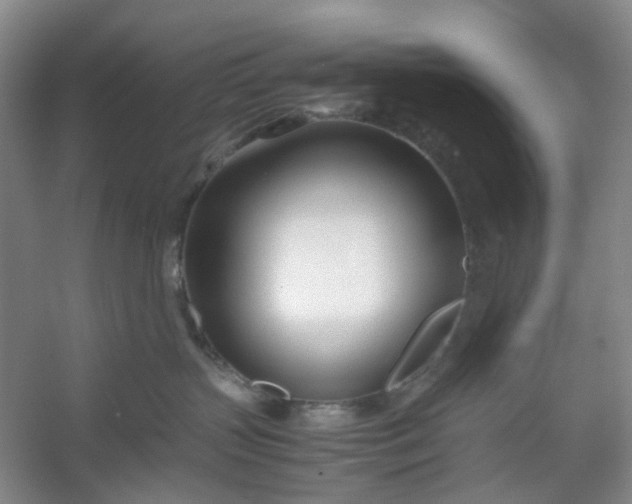 X0000053070383200507251506