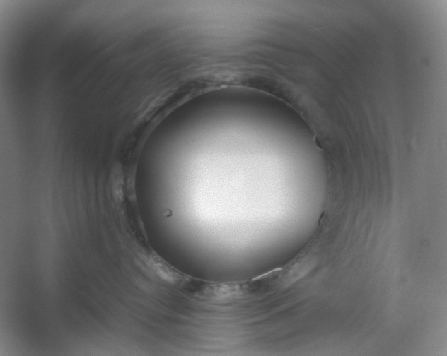 X0000053070384200507251506