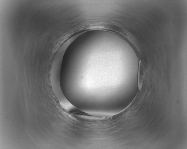 X0000053070385200507251505