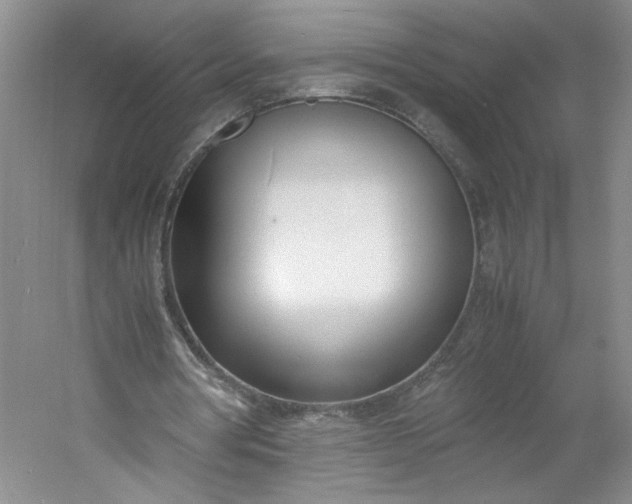 X0000053070386200507251505