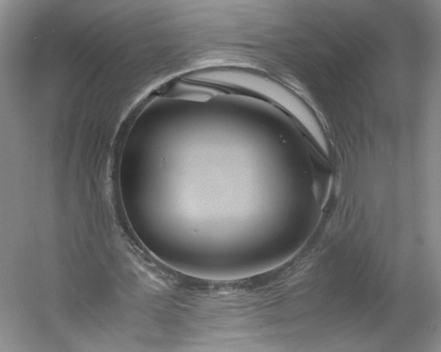 X0000053070387200507251505