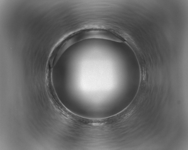 X0000053070388200507251505