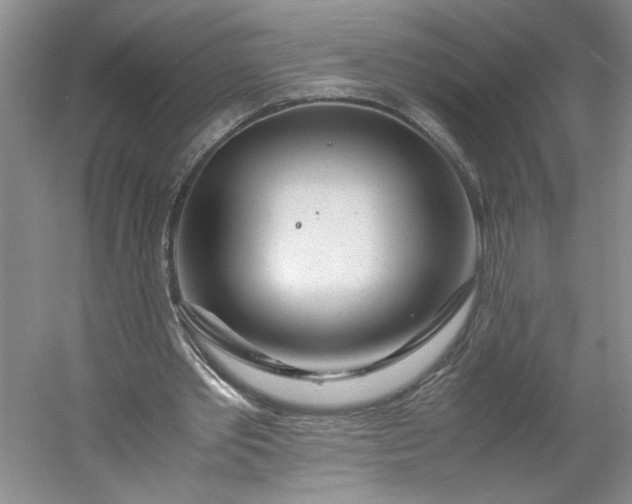 X0000053070389200507251505