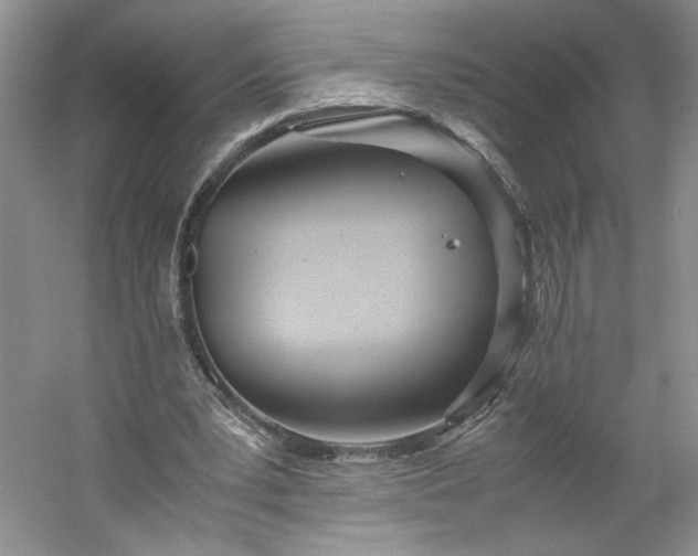 X0000053070391200507251505