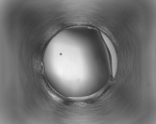 X0000053070393200507251505