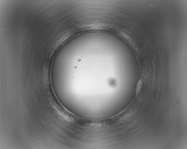 X0000053070394200507251505