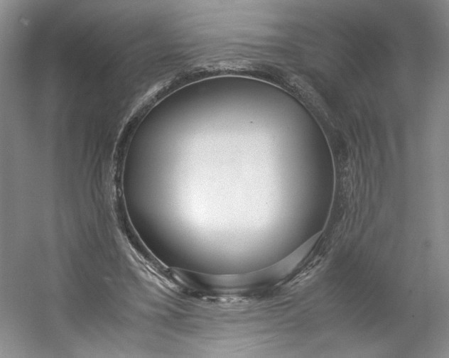 X0000053070395200507251505