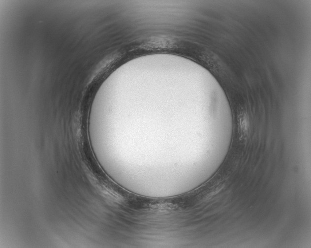 X0000053070396200507251505