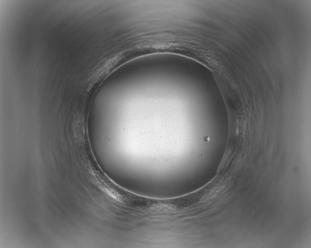 X0000053070397200507251505