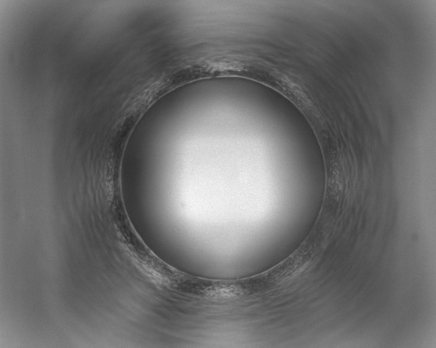 X0000053070402200507251505