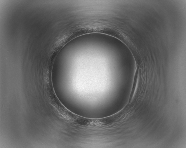 X0000053070403200507251505