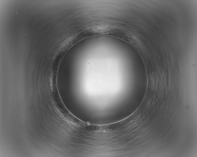 X0000053070404200507251505