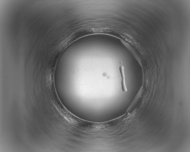 X0000053070405200507251505