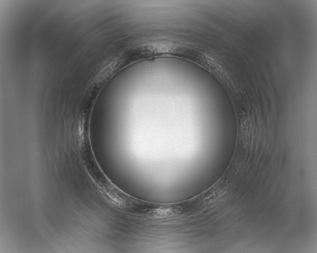 X0000053070406200507251505