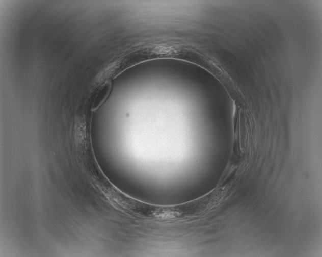 X0000053070407200507251505