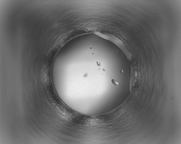 X0000053070408200507251505