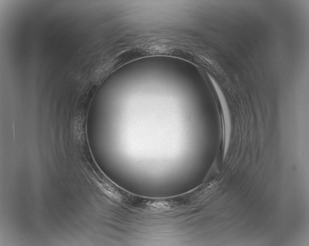 X0000053070409200507251505