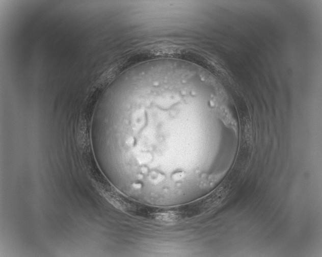 X0000053070411200507251505