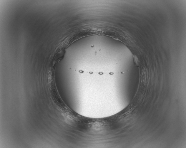 X0000053070412200507251505