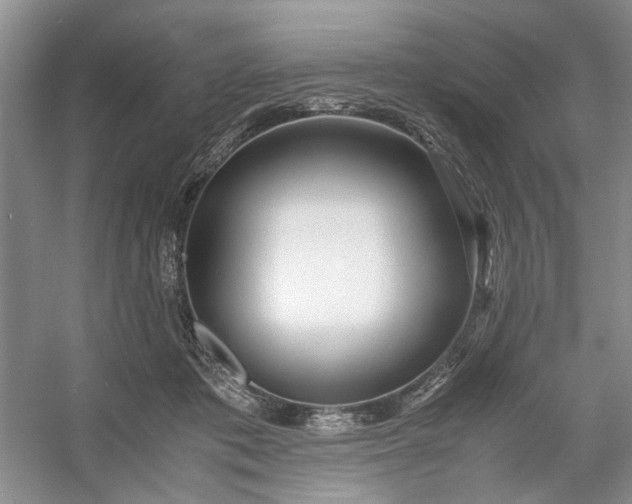 X0000053070413200507251505