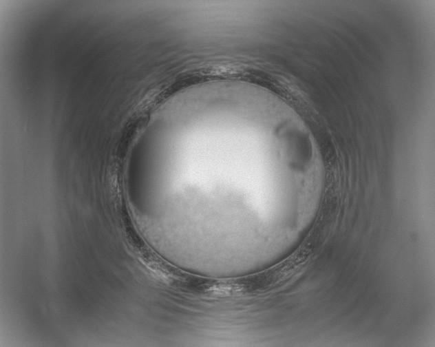 X0000053070415200507251505