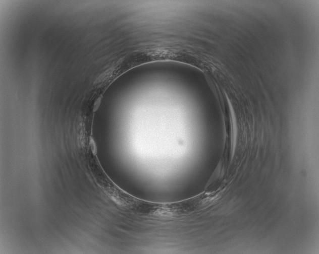 X0000053070416200507251505