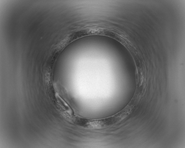 X0000053070417200507251505