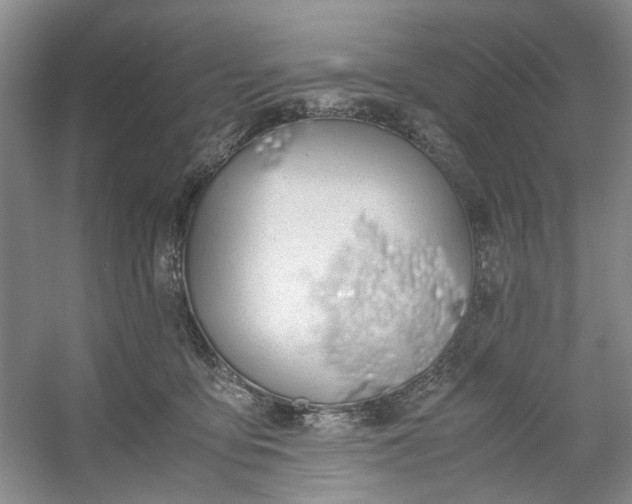 X0000053070419200507251505