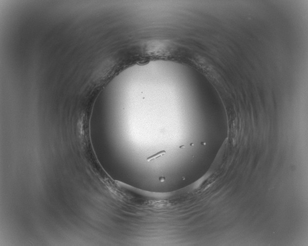 X0000053070424200507251504