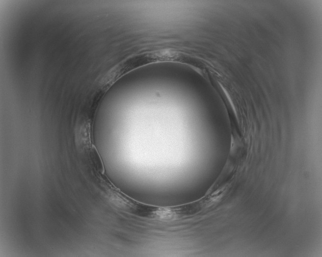 X0000053070425200507251504