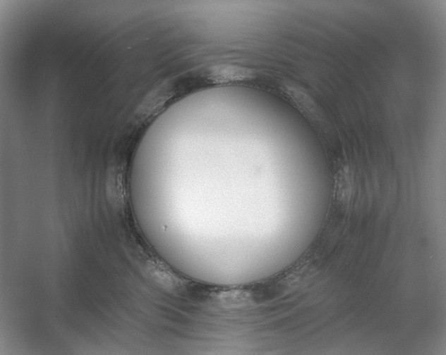 X0000053070426200507251504