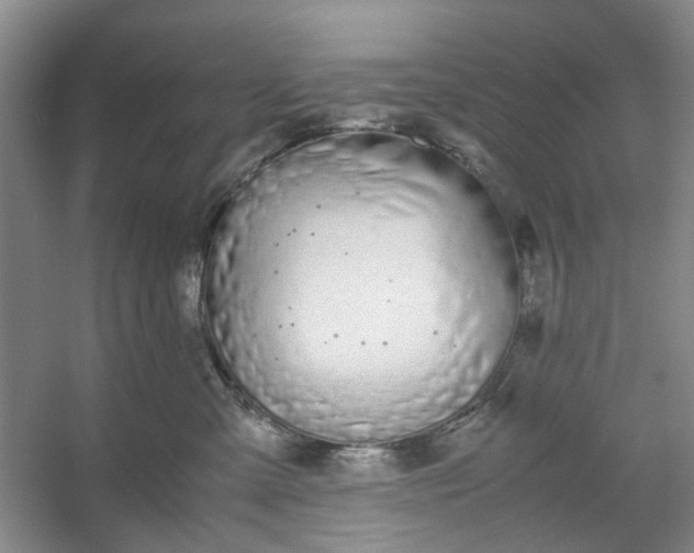 X0000053070427200507251504