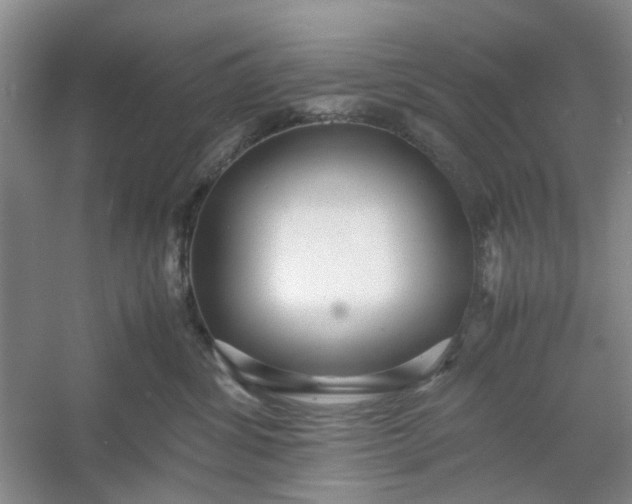 X0000053070428200507251504