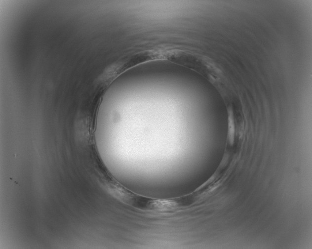 X0000053070429200507251504