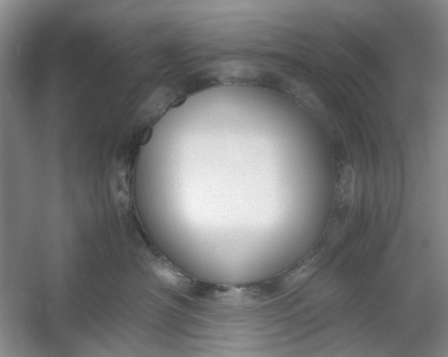 X0000053070430200507251504