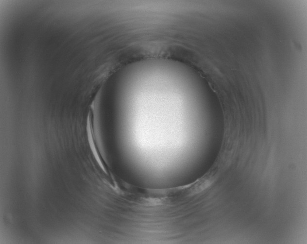 X0000053070432200507251504