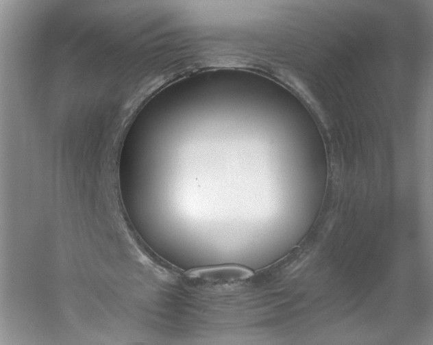 X0000053070433200507251504